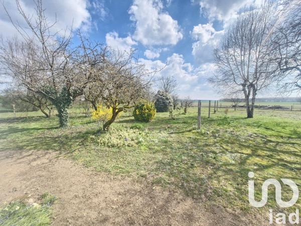 Maison traditionnelle 5 pièces de 80 m² à Saint-Benoît-sur-Loire (45730)