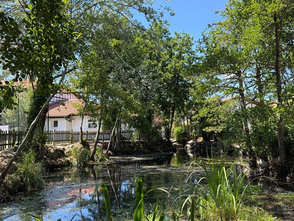 ETANG DE SOUSTONS T3 + MEZZANINE