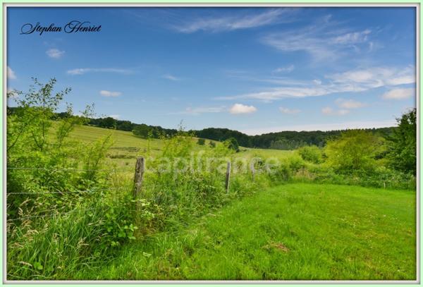 Terrain à vendre de 31 710,00 m² BOULT AUX BOIS (08)