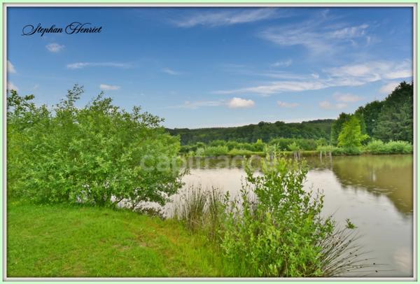 Terrain à vendre de 31 710,00 m² BOULT AUX BOIS (08)