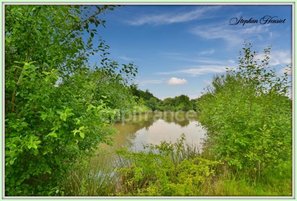 Terrain à vendre de 31 710,00 m² BOULT AUX BOIS (08)