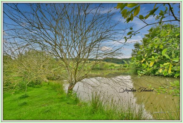 Terrain à vendre de 31 710,00 m² BOULT AUX BOIS (08)