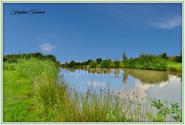 Terrain à vendre de 31 710,00 m² BOULT AUX BOIS (08)