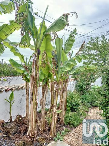 Maison à vendre 7 pièces 205 m² Taugon