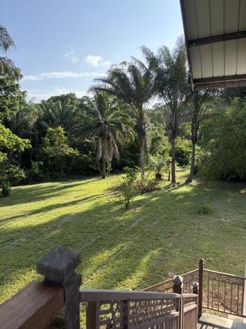 Appartement À louer en Guyane / MANA 97360