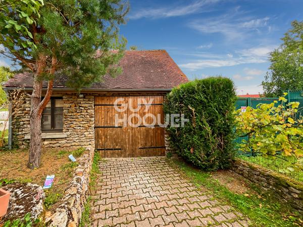 Maison Briarde avec Piscine et Beaux Volumes