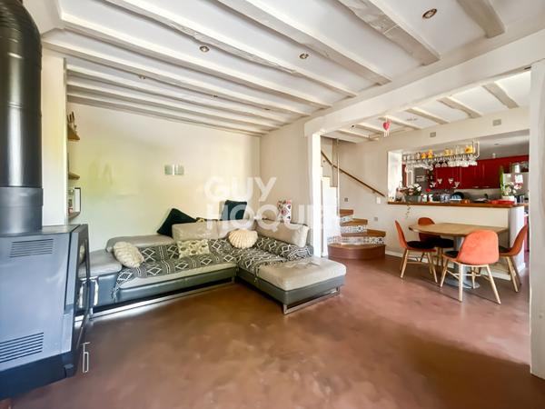 Maison Briarde avec Piscine et Beaux Volumes