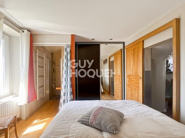 Maison Briarde avec Piscine et Beaux Volumes