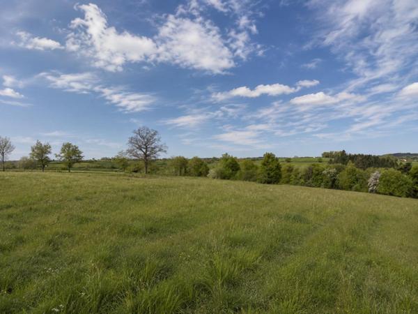 Corps de ferme en pierre – 4,28 Ha – Rieupeyroux