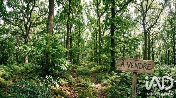 Terrain à vendre 6 700 m² Montastruc