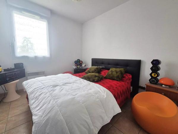 Location Appartement 2 pièces 43 m2 à Albi