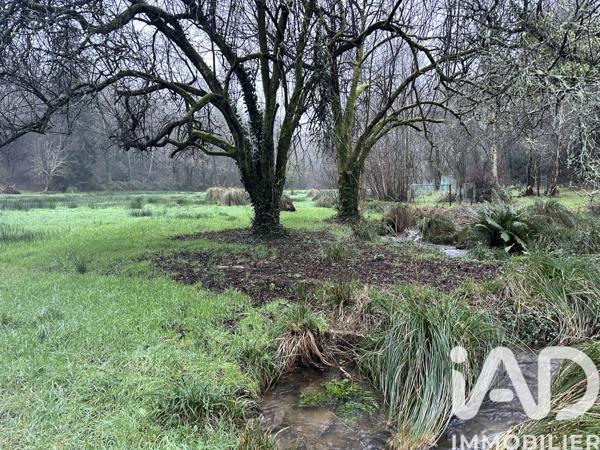 Terrain à vendre 7 138 m² Guengat