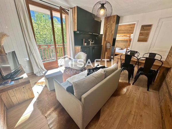 Appartement 4 couchages, proximité immédiate des pistes