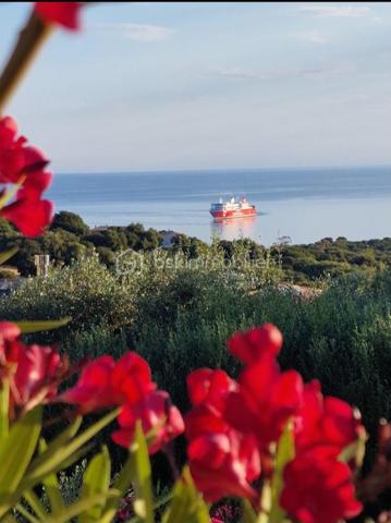Située dans l’un des secteurs les plus recherchés de Monticello, à quelques minutes des plages et du centre de L’Île-Rousse, cette élégante propriété bénéficie d’un environnement privilégié offrant une superbe vue sur la mer, le Cap Corse et les montagnes environnantes.

Implantée sur un terrain d’environ 1 000 m², la propriété développe 210 m² habitables et séduit par ses volumes généreux, sa luminosité et son ouverture sur l’extérieur.

La villa principale de 147m², principalement de plain-pied, propose une vaste pièce de vie baignée de lumière avec séjour et cuisine contemporaine entièrement équipée. De larges baies vitrées prolongent naturellement les espaces vers une magnifique terrasse d’environ 90 m² avec piscine, véritable espace de réception offrant un art de vivre dedans-dehors face à la Méditerranée.

L’espace nuit comprend une suite parentale avec dressing, salle de bains privative et accès direct à la terrasse avec vue mer, ainsi que deux chambres supplémentaires et une salle d’eau.

En rez-de-jardin, un appartement T3 indépendant de 63 m², bénéficiant de sa propre terrasse d’environ 25 m², constitue un véritable atout pour accueillir famille et amis ou développer une activité locative.

La propriété dispose également d’un espace supplémentaire d’environ 45 m² offrant de nombreuses possibilités d’aménagement.

Chaque niveau bénéficie de son accès indépendant et de son stationnement sécurisé, offrant autonomie et flexibilité d’usage.

Le jardin paysager, équipé d’un forage et d’un système d’arrosage automatique, complète harmonieusement cet ensemble rare sur le marché.

À quelques minutes des plages, du port et du centre de L’Île-Rousse, cette propriété bénéficie d’un emplacement privilégié au cœur de la Balagne.

Les atouts :
• Vue mer et Cap Corse
• Environ 210 m² habitables sur un terrain de 1000 m²
• Terrasse de 90 m² avec piscine
• Appartement indépendant de 63 m² avec séjour, cuisine, 2 chambres et 1 salle d’eau
• Espace aménageable supplémentaire de 45 m²
• Deux accès indépendants et stationnements sécurisés
• Suite parentale avec dressing et vue mer
• 2 portails motorisés
• Assainissement collectif
• Forage et arrosage automatique
• Borne de recharge
• À quelques minutes des plages et de L’Île-Rousse