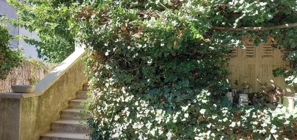 Dpt Vaucluse (84), à vendre AVIGNON maison P6