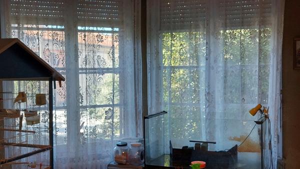 Dpt Vaucluse (84), à vendre AVIGNON maison P6