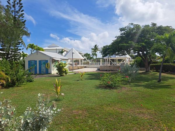 La Marina sous vos yeux, immersion totale dans la vie locale