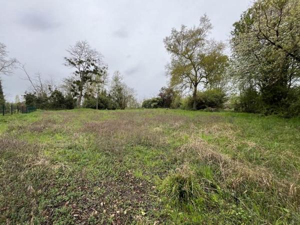 Terrain à vendre |  Eauze |  4571 m²