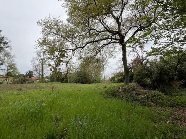 Terrain à vendre |  Eauze |  4571 m²