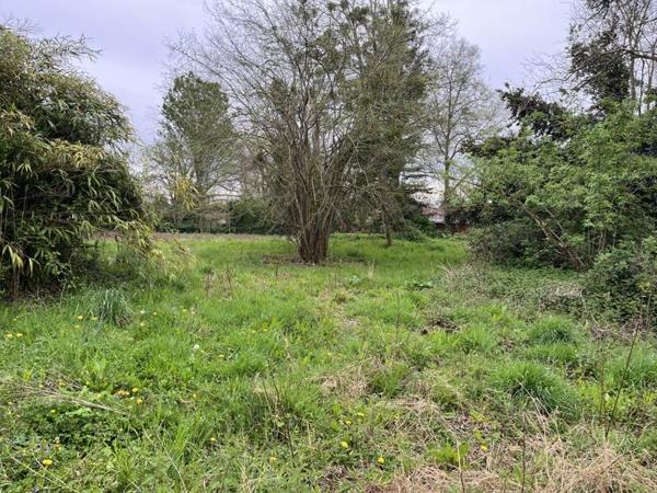 Terrain à vendre |  Eauze |  4571 m²