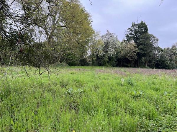 Terrain à vendre |  Eauze |  4571 m²