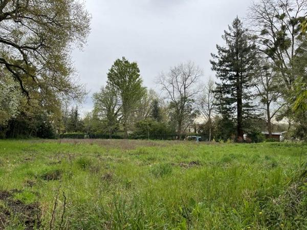 Terrain à vendre |  Eauze |  4571 m²