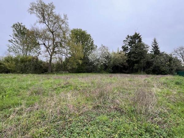Terrain à vendre |  Eauze |  4571 m²