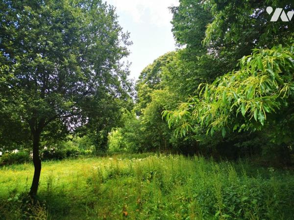 Grand terrain à bâtir au calme non viabilisé 