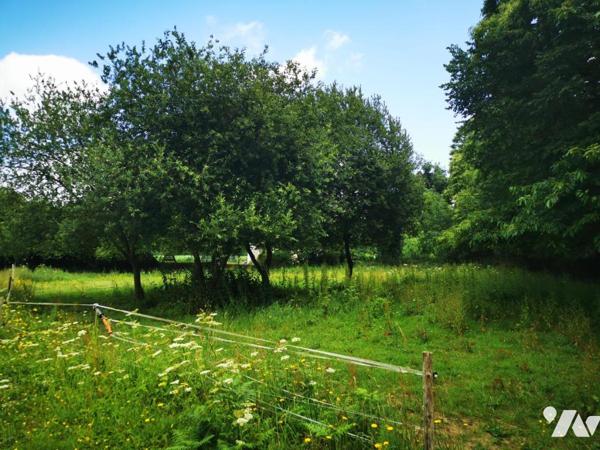 Grand terrain à bâtir au calme non viabilisé 