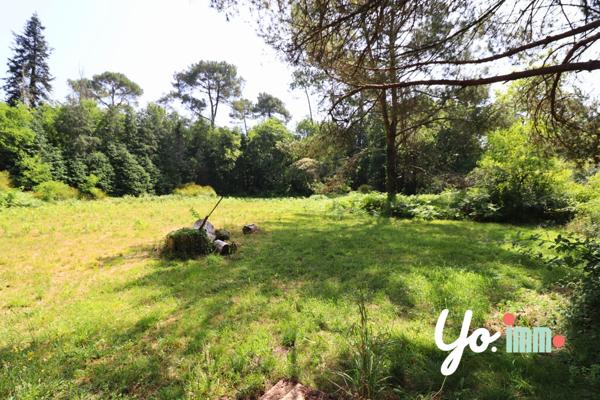 Saugnac-et-Cambran (40180) Maison de caractere 9 pièces à Saugnac et Cambran avec dépendances sur terrain de 2,3 hectares