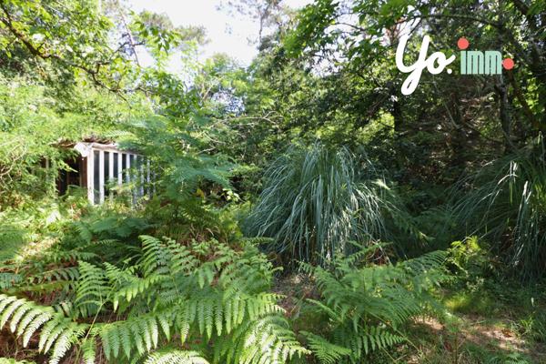 Saugnac-et-Cambran (40180) Maison de caractere 9 pièces à Saugnac et Cambran avec dépendances sur terrain de 2,3 hectares