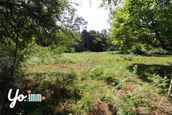 Saugnac-et-Cambran (40180) Maison de caractere 9 pièces à Saugnac et Cambran avec dépendances sur terrain de 2,3 hectares