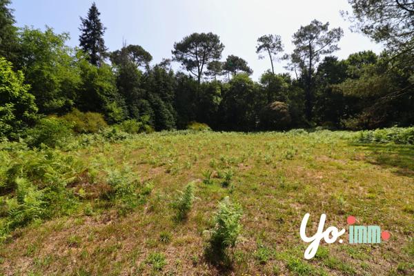 Saugnac-et-Cambran (40180) Maison de caractere 9 pièces à Saugnac et Cambran avec dépendances sur terrain de 2,3 hectares