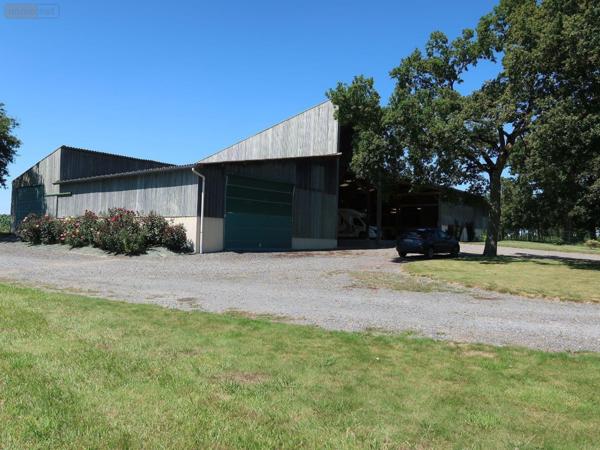 Maison restaurée à vendre à Bréal-sous-Montfort en Ille-et-Vilaine (35310), ref : 050/97