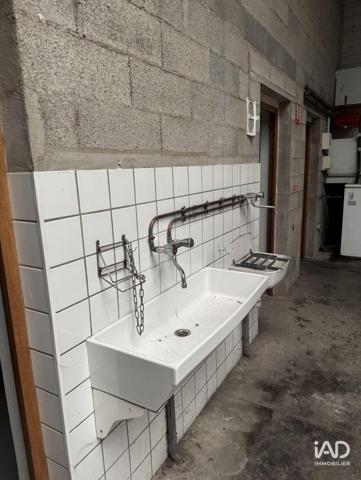 Murs commerciaux  à vendre 523 m² Marlenheim