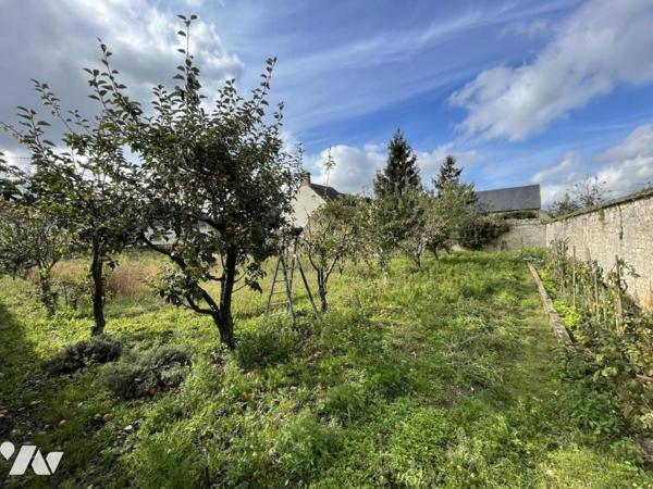 Terrain HORS LOTISSEMENT clos de murs