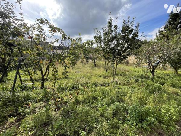 Terrain HORS LOTISSEMENT clos de murs