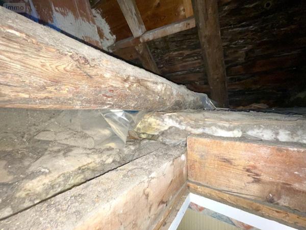 Immeuble à vendre à Saint-Chély-d'Apcher en Lozère (48200), ref : 48032-202