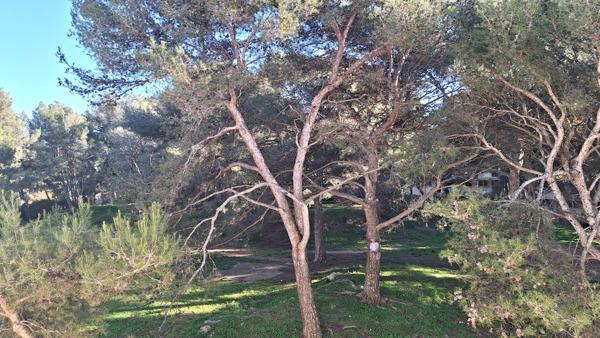 Pennes-Mirabeau (13170) Appartement Type 4 plein sud +cave