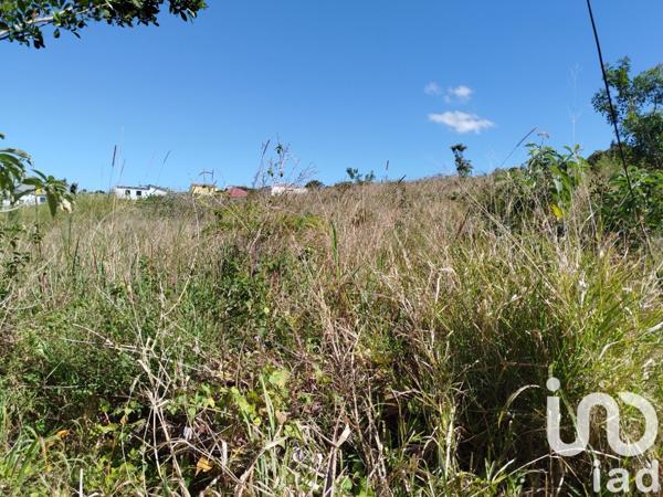 Terrain à vendre 333 m² Saint-Joseph