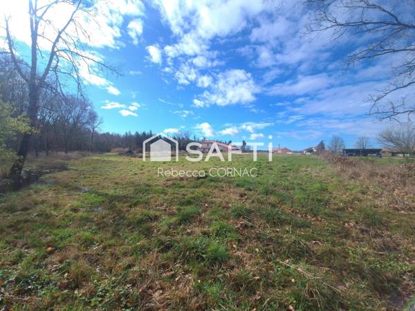 Terrain à bâtir de 1125m²- Villematier