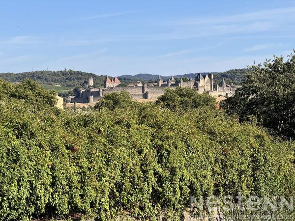 CARCASSONNE Maison plain-pied renovee 2023 avec garage et jardin vue Cite