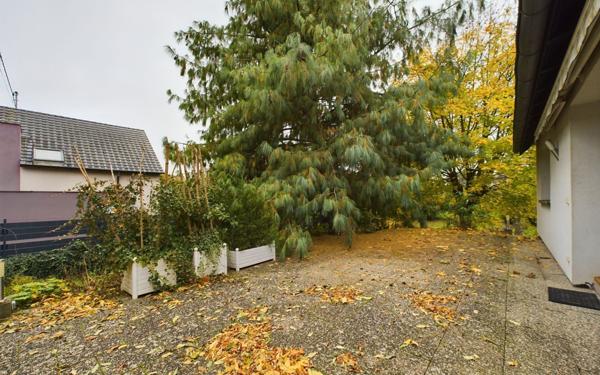 Maison à louer    7 pièces •  Illkirch-Graffenstaden