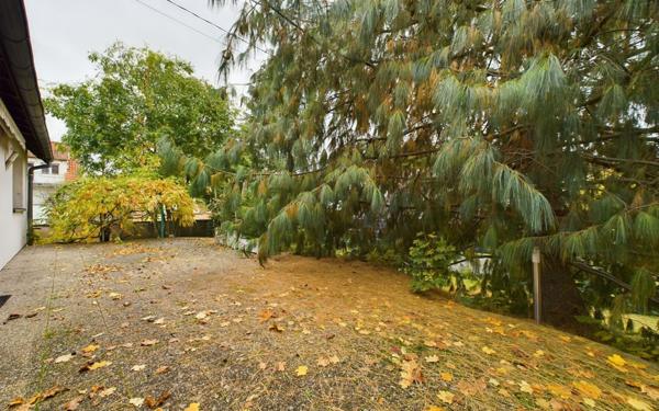 Maison à louer    7 pièces •  Illkirch-Graffenstaden