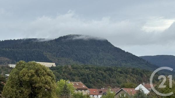 Appartement F3 à vendre  3 pièces - 60,50 m 2   ST DIE DES VOSGES  - 88