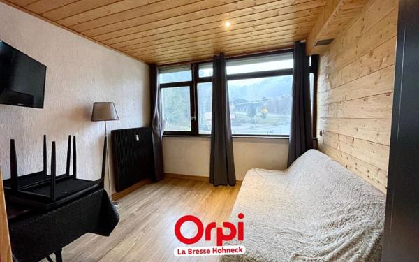 Appartement à vendre    1 pièce •  La Bresse