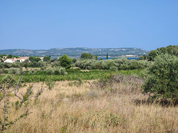 Terrain 12300 m2