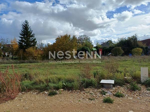 À saisir : un terrain idyllique en pleine nature, proche de Blois - Villiers - Commune d'Averdon - 630 m²