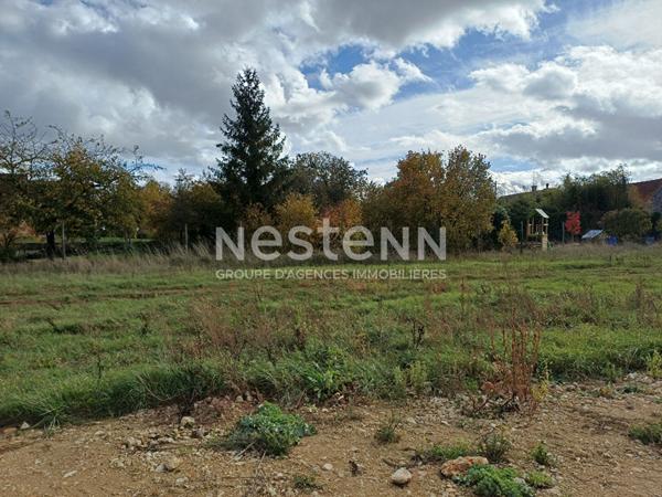 À saisir : un terrain idyllique en pleine nature, proche de Blois - Villiers - Commune d'Averdon - 630 m²