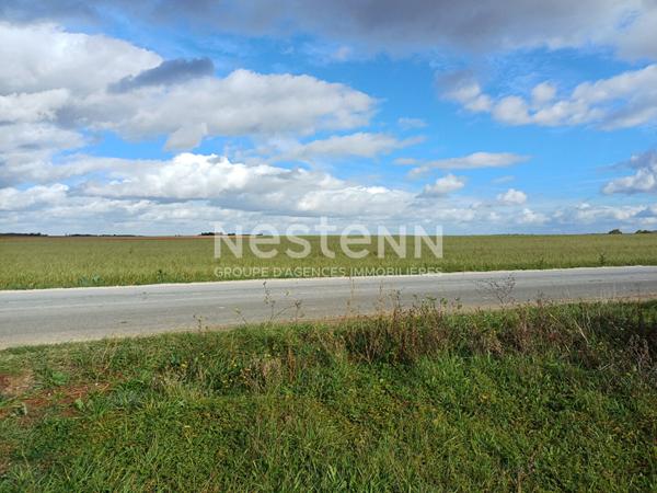 À saisir : un terrain idyllique en pleine nature, proche de Blois - Villiers - Commune d'Averdon - 630 m²